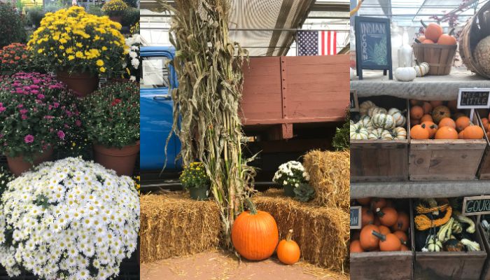 Fall Decor